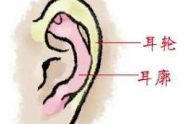 面相揭秘：香港名家带你探寻命运之门