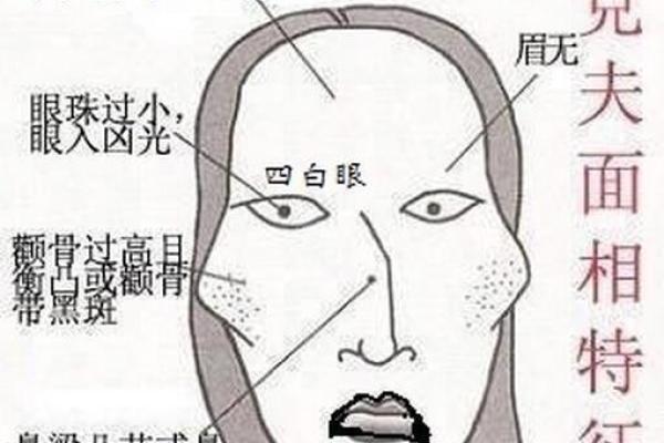 面相揭秘：香港名家带你探寻命运之门