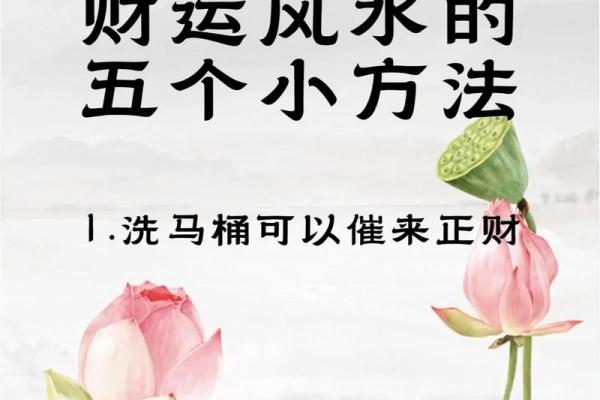 家居风水布局,财运亨通秘诀大公开 家居风水布局,财运亨通秘诀大公开