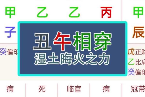 丑合地支与五行的奇妙关系 丑合地支与五行的奇妙关系