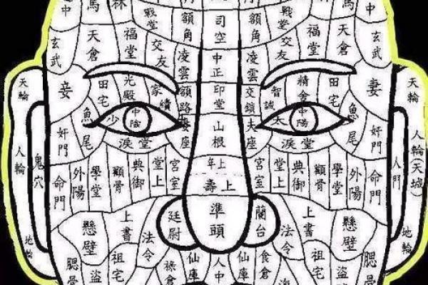 面相揭秘：山根高耸，财运亨通的秘密