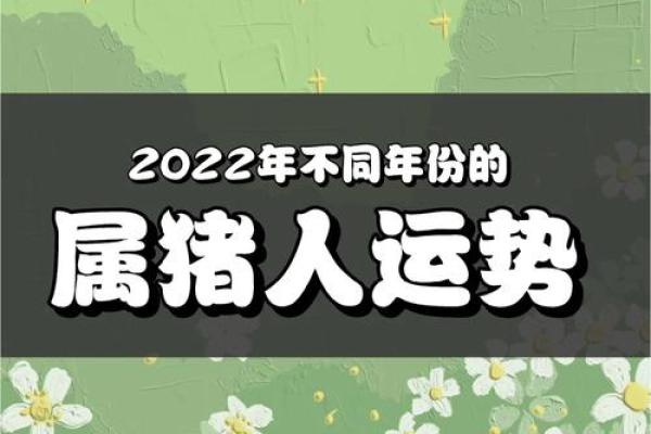 猪的运势趋势：如何调整心态迎接好运