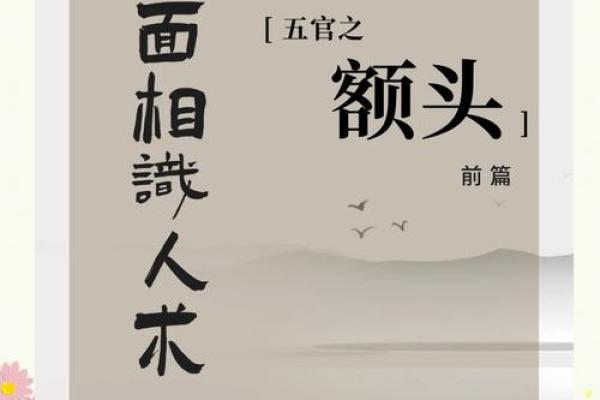 揭秘面相学：国际视野下的神秘面相解读