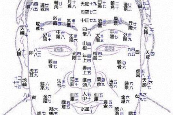 揭秘面相学：国际视野下的神秘面相解读
