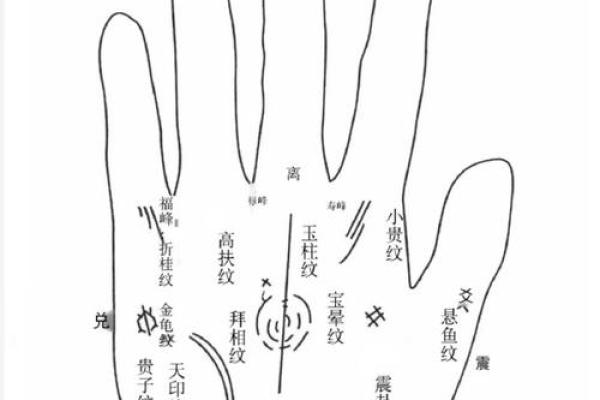 富贵手相揭秘：掌握财富的密码