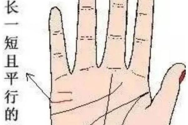 手相揭秘：婚姻红线，你中了几条？