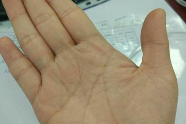 爆款揭秘！这些手相特征的女人注定离婚！