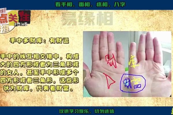 婆婆手相术：揭秘你的运势与财运！