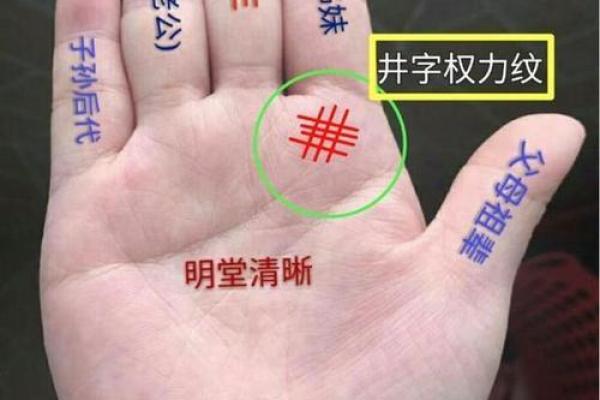 婆婆手相术：揭秘你的运势与财运！