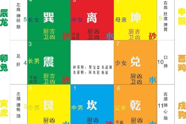 酉五行与生肖相生相克的关系