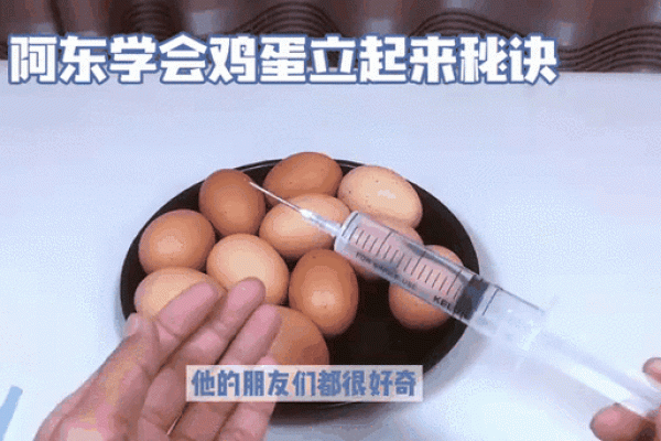 立鸡蛋背后的传统智慧与文化意义