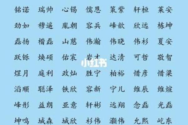 生辰八字宝宝起名软件，让名字带来好运