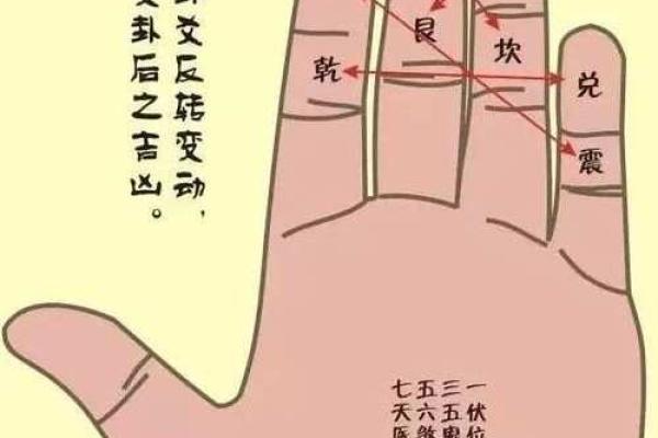 十二地支算卦法:传承千年的智慧密码 十二地支算卦法:传承千年的智慧密码