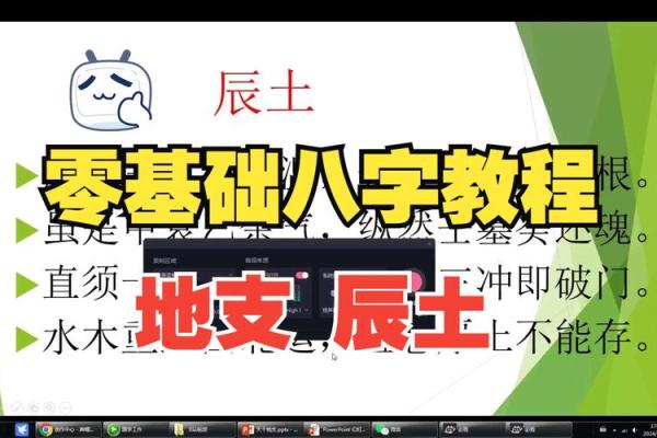 辰地支藏根在八字中的作用探讨 辰地支藏根在八字中的作用探讨