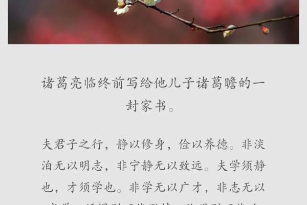 周书逸：文雅与智慧并重的姓名，寓意着博学多才与宁静致远