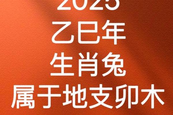 1975年属兔办公室风水秘籍，助你事业腾飞！