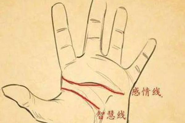 奚言运势解析：智慧与口才的完美结合