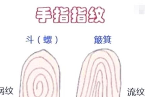 指尖上的命运密码：揭秘指纹手相的神奇奥秘