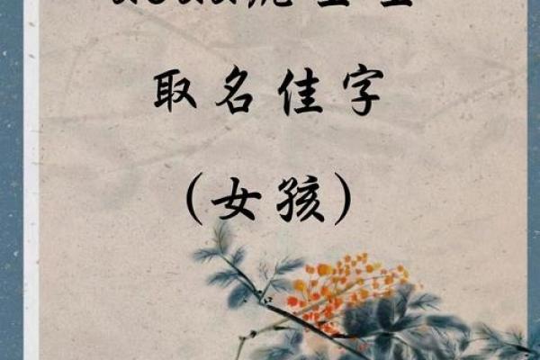 春节喜庆宝宝取名佳选