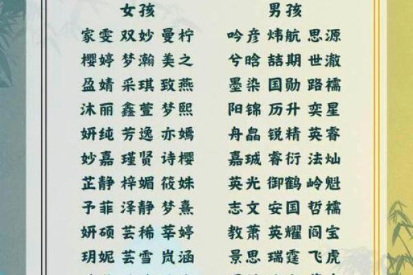 春节喜庆宝宝取名佳选