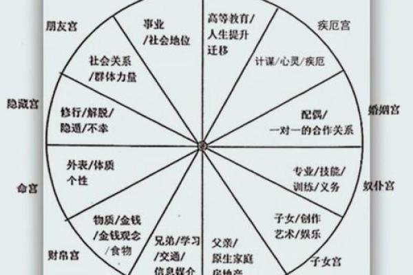 面相刁钻，魅力四溢，揭秘神秘面相的秘密！