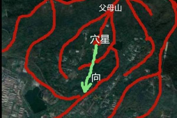 平南县阳宅风水秘籍：打造家居风水宝地