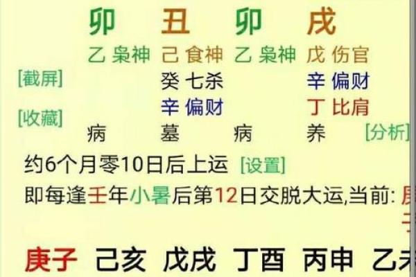 解密风象命理：揭秘命运的风向标