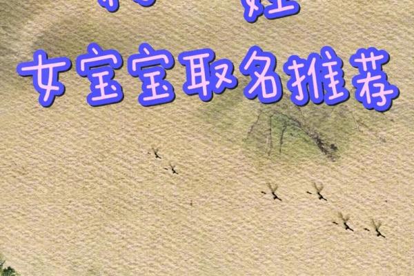 姓杨男孩起名指南，选择一个有意义的名字