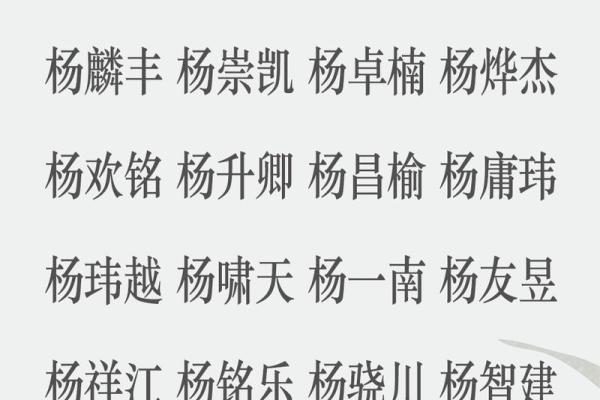 姓杨男孩起名指南，选择一个有意义的名字