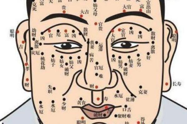 贪婪痣相运势解析：看看你的痣相预示着什么？