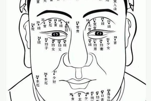 贪婪痣相运势解析：看看你的痣相预示着什么？