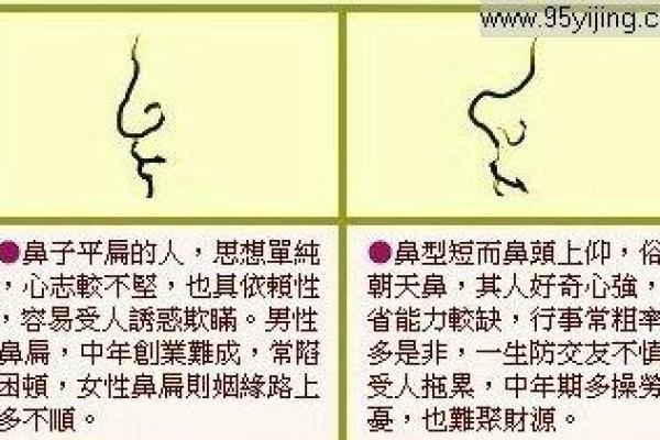 面相解析：鼻头无肉背后的命运启示