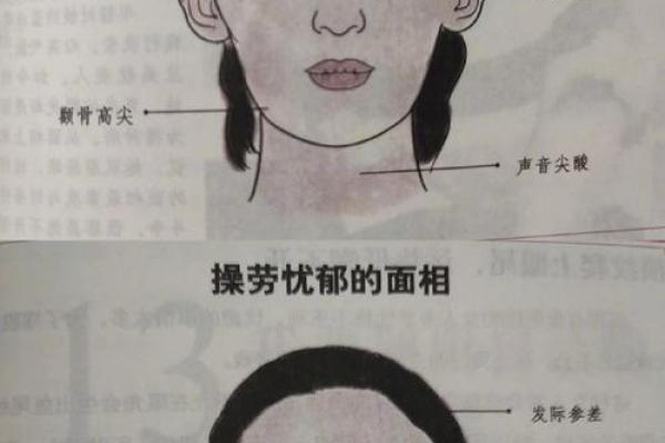 面相解析：鼻头无肉背后的命运启示