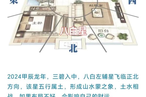 南墙风水秘籍：办公室财运亨通的神奇布局
