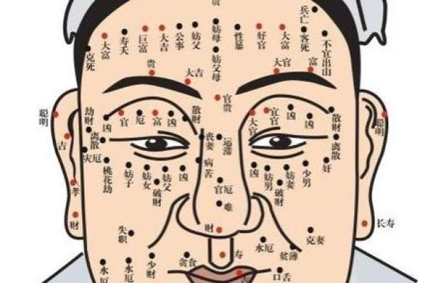 痣相揭秘：田它宫的神秘魅力与运势解析
