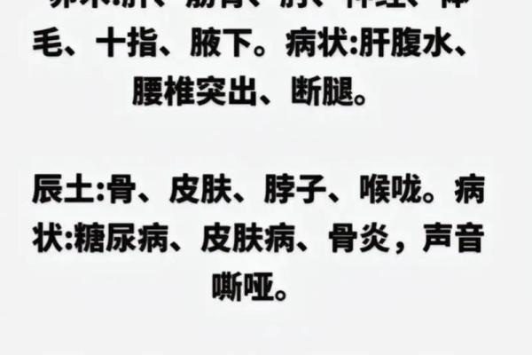 探秘天干地支如何影响身体机能 探秘天干地支如何影响身体机能