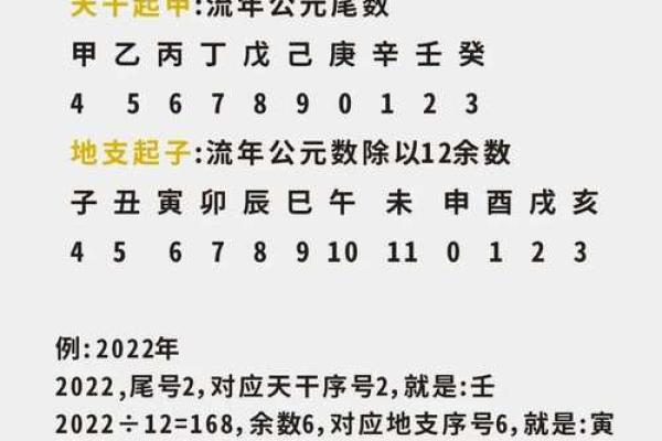 探秘天干地支如何影响身体机能 探秘天干地支如何影响身体机能