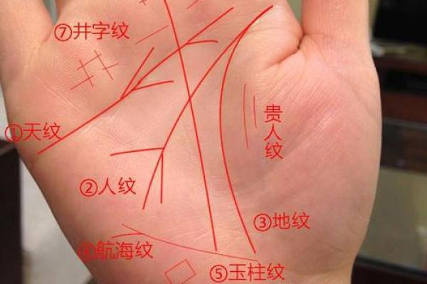 手部发黑警示：手相解读健康危机！