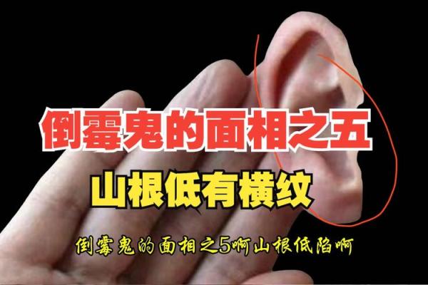 男山根高面相：成就非凡之人的神秘印记