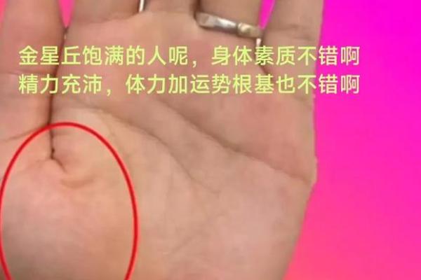 罕见富贵手相揭秘：掌握运势的神秘密码