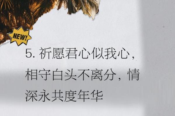 缘定三生·携手同心房
