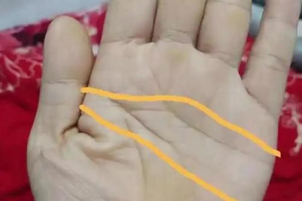 手相揭秘：这些手相特征暗示你可能容易离婚