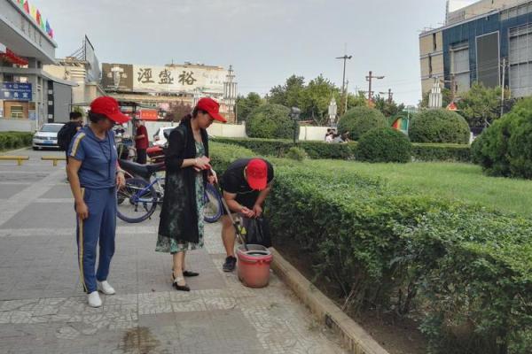 赵采：寓意采撷美好，命运之花绽放