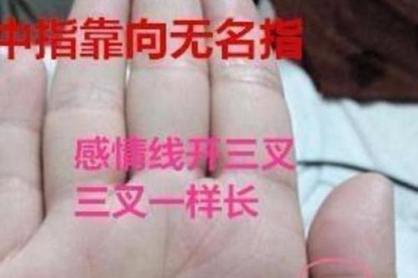 凤眼手相揭秘：罕见还是常见？