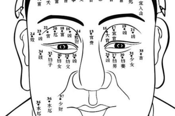 痣相占卜：男人九夫痣相，揭秘你的运势密码！