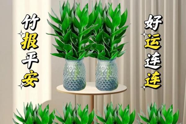 观音竹布局风水：家居风生水起，财运亨通的秘密武器