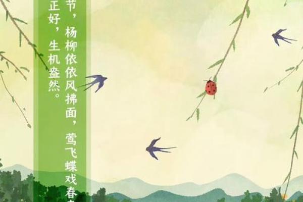 四月八日春意浓，传统节日习俗新