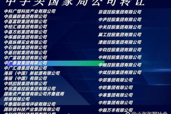 公司名称的选取标准与策略