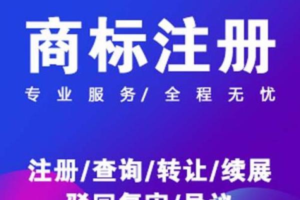 公司名称的选取标准与策略