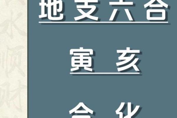 解析申亥地支组合对命运的深远影响 解析申亥地支组合对命运的深远影响